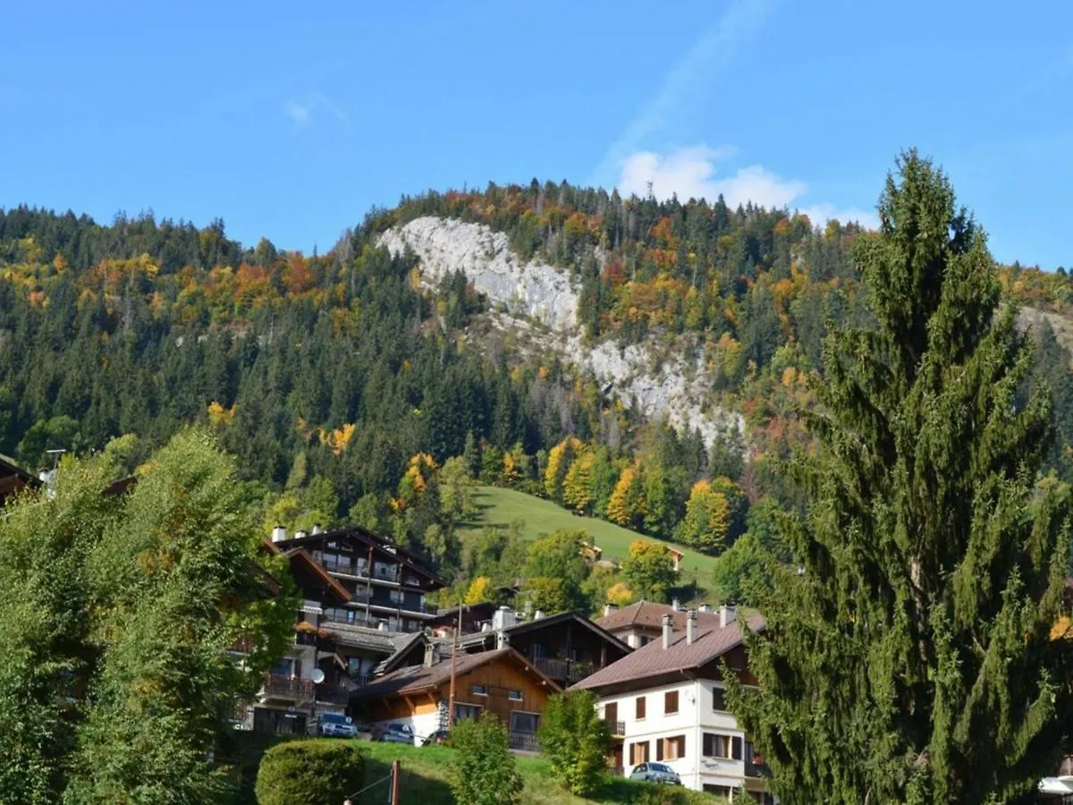 Studio Cosy 4 Pers, Centre Village, Parking, Ascenseur, Balcon - Le Grand-Bornand - Fr-1-241-185