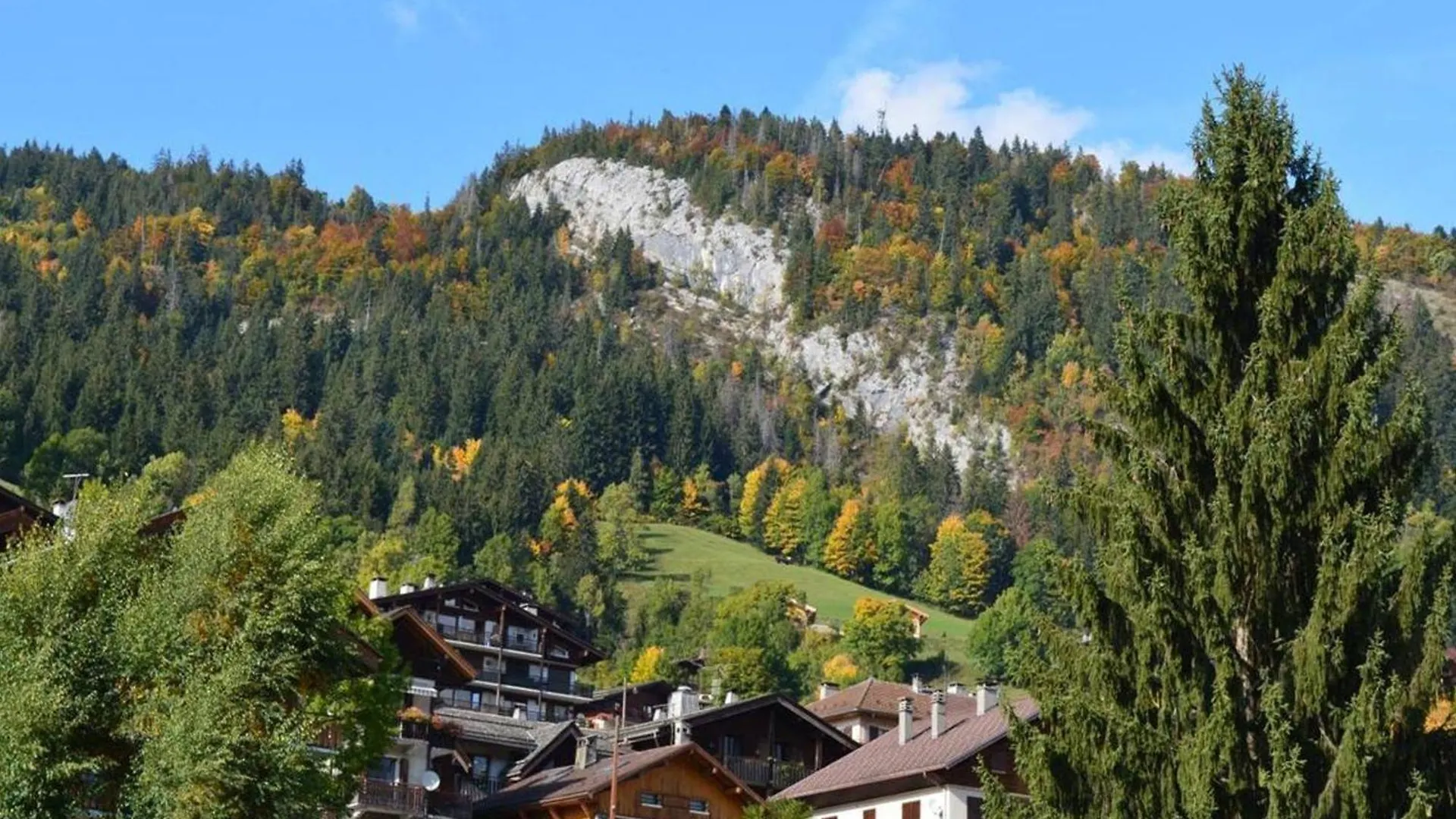 Studio Cosy 4 Pers, Centre Village, Parking, Ascenseur, Balcon - Le Grand-Bornand - Fr-1-241-185 Apartment